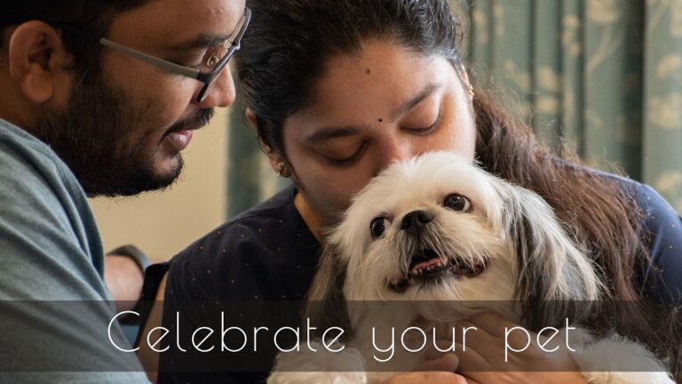 Read more about the article Celebrate your pet