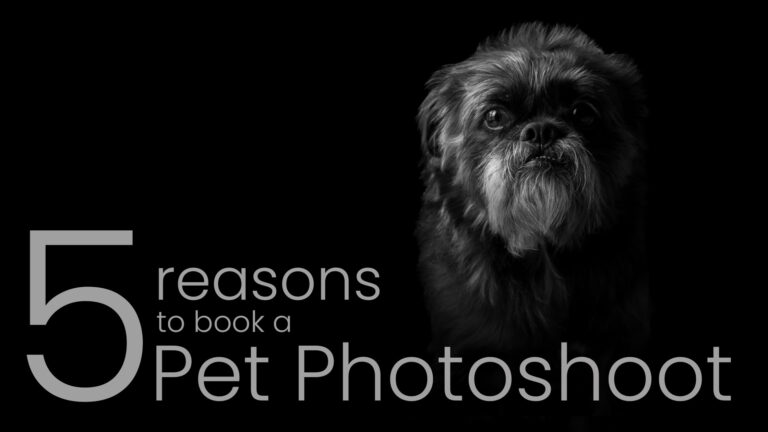 Read more about the article 5 reasons to book a pet photoshoot